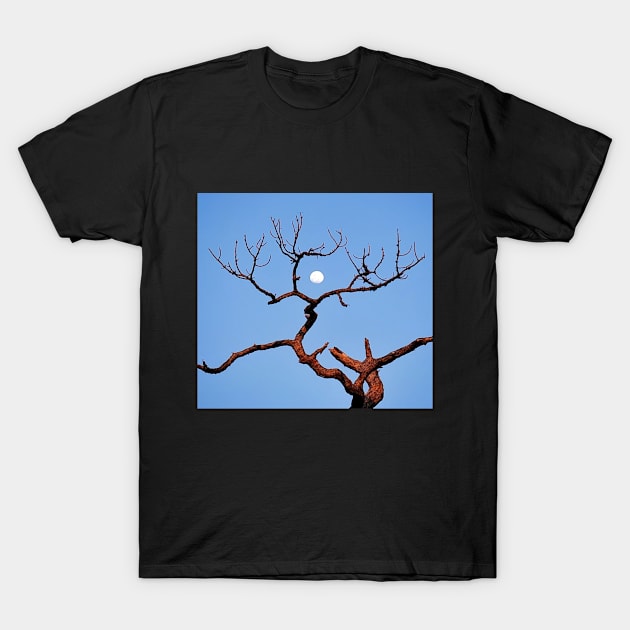 Antlers T-Shirt by Dead Moroz